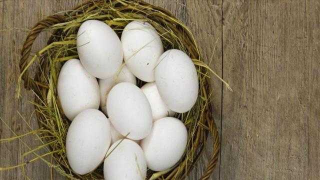 تعرف إلى سعر كرتونة البيض اليوم بالمزرعة