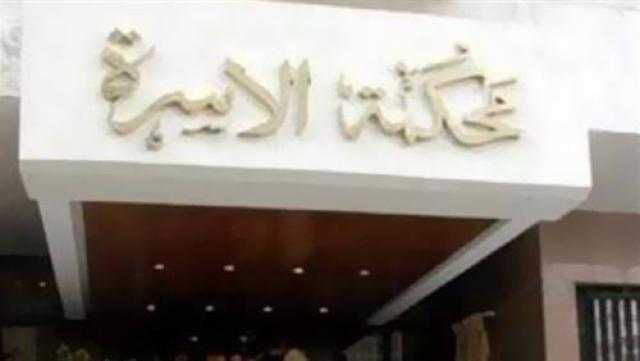 زوجة بدعوى «حضانة»: خدعني بمساعدة صديقة عمري وخطفوا ابني