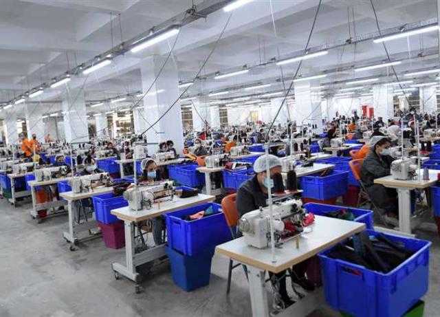 خبير اقتصادي: الحكومة نجحت في القضاء على «الجزر المنعزلة»