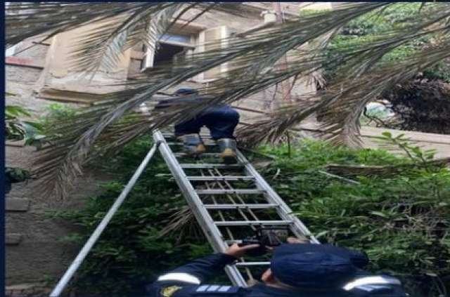 استجابة فورية لاستغاثة مسنة 