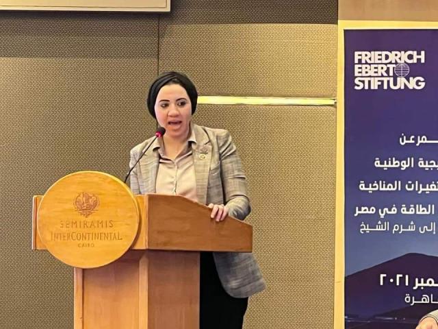 النائبة أميرةصابر