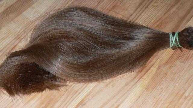 هل تبرأ النبي من المرأة التي تحلق شعرها؟