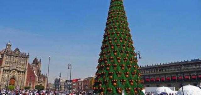 بتكلفة 100 مليون جنيه.. مفاجأة عن شجرة كريسماس التحرير