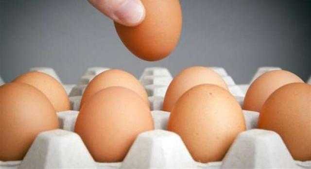سعر كرتونة البيض اليوم بالمزرعة