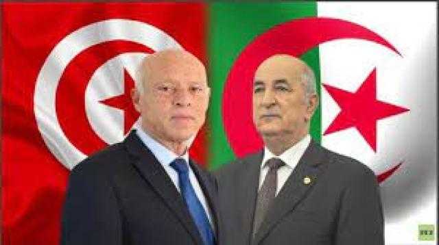 تونس والجزائر يتفقان على ضرورة إخراج المرتزقة من ليبيا