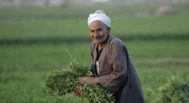 الفلاح