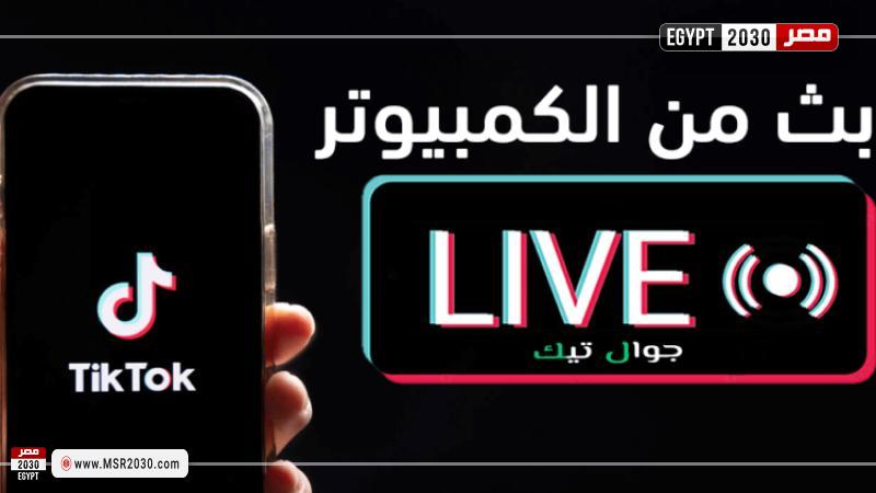 مصر 2030