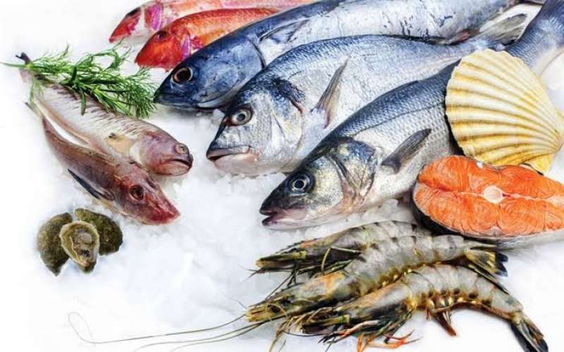 أسعار السمك اليوم بسوق العبور