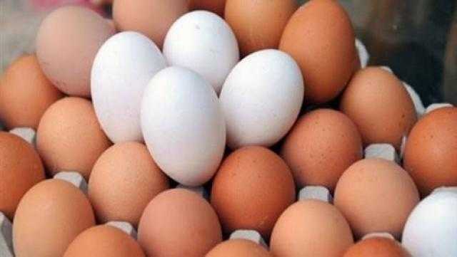 تعرف إلى سعر كرتونة البيض اليوم بالمزرعة