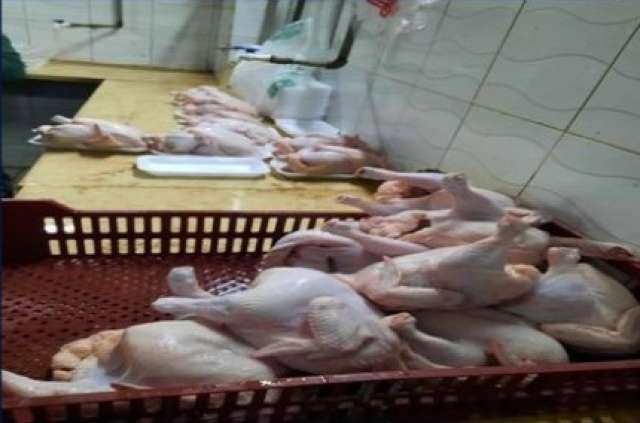 ضبط دواجن مجهولة المصدر