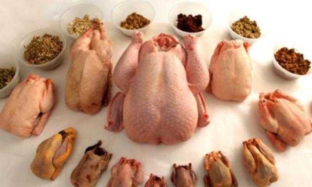 أسعار الدواجن اليوم بالمزرعة