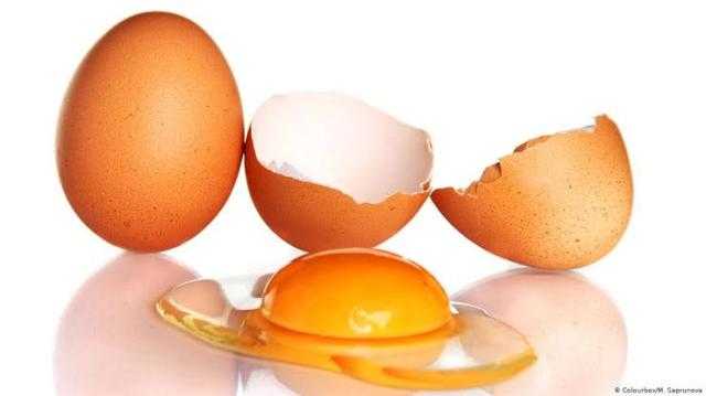 تعرف على سعر كرتونة البيض اليوم بالمزرعة