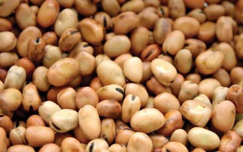 قفزة في سعر الفول البلدي والمستورد اليوم الخميس عند التاجر