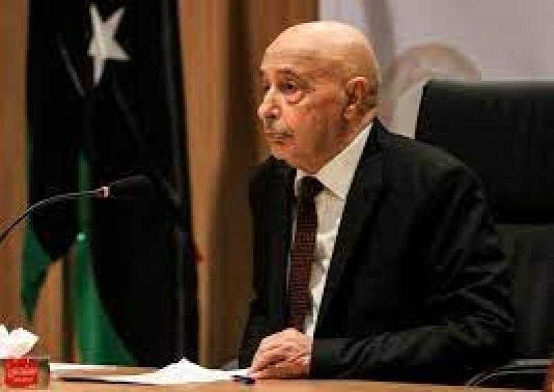 «النواب الليبي»: رئيس الدولة لا ينبغي أن يحمل جنسية دولة أخرى