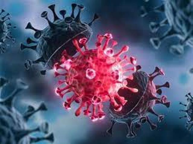 فيروس كورونا -أرشيفية-