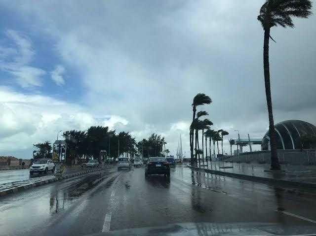 محافظ الغربية: الأحوال مستقرة وتم السيطرة على تراكمات المياه - فيديو