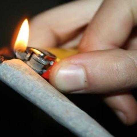 في قعدة كِيف.. حبس قاتل شقيقه بالمقطم