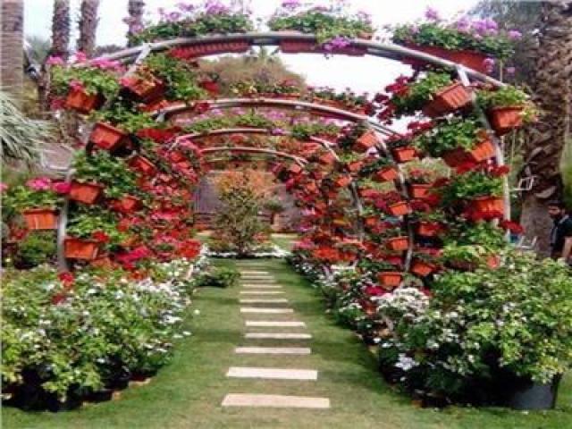 معرض زهور الربيع