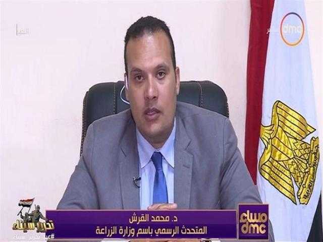 القرش: الزراعة تشكل 25 ٪ من إجمالي القوى العاملة