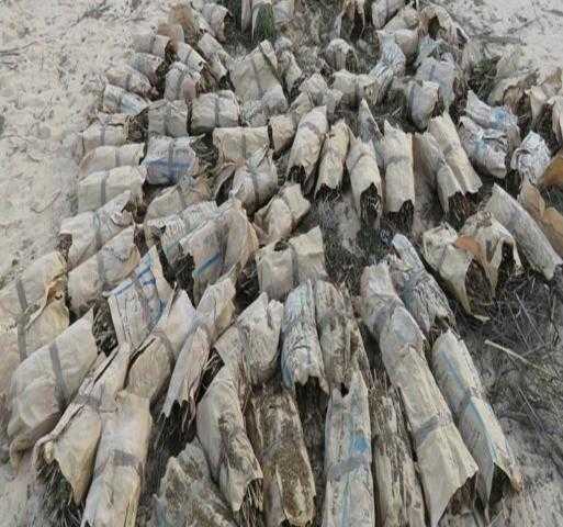 ضبط 4250 كيلو بانجو في الإسماعيلية