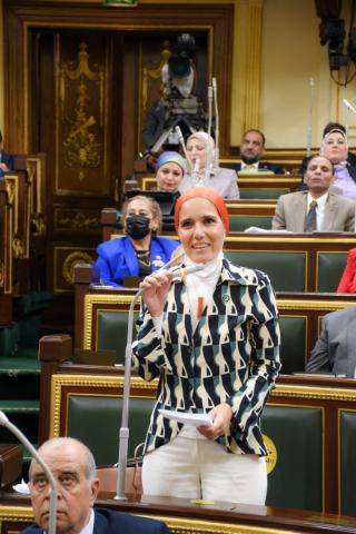 النائبة شيماء حلاوة