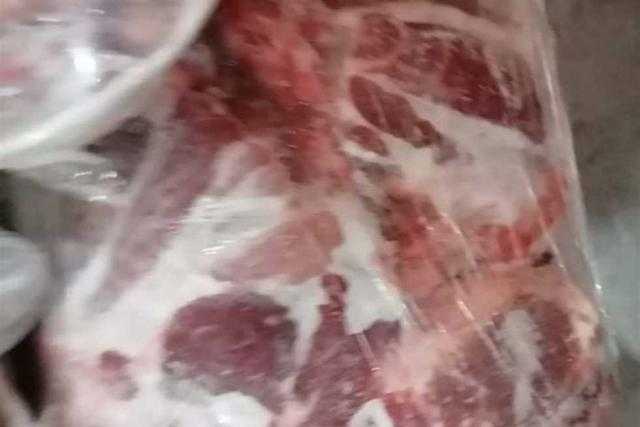 «مديرية الطب البيطري» تشن حملة مكبرة على المنشآت السياحية في الأقصر