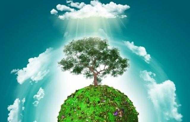 ”البيئة”: جودة الهواء في مصر لا تتجاوز الـ70% (فيديو)