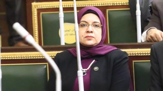 النائبة ريهام عبد النبى