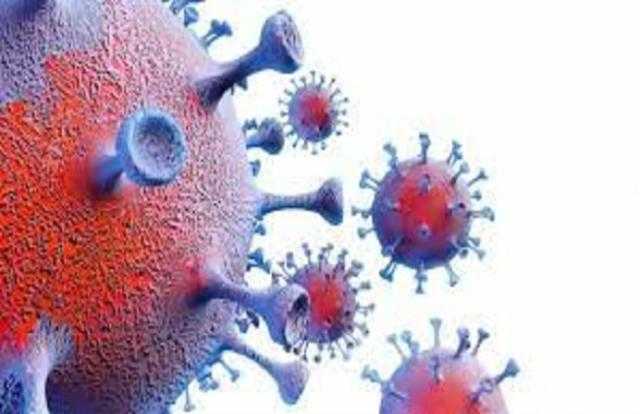 رئيس اللجنة العلمية لمكافحة كورونا يبعث رسالة طمأنة بشأن «دلتا كرون»