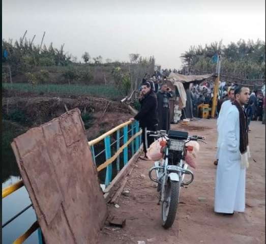 معدية المناشي