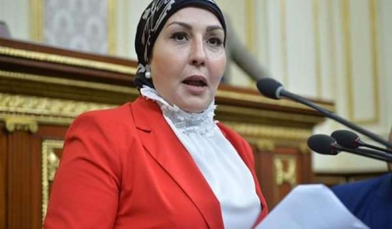 النائبة هالة أبو السعد