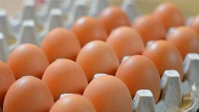 تعرف على سعر كرتونة البيض اليوم بالمزرعة