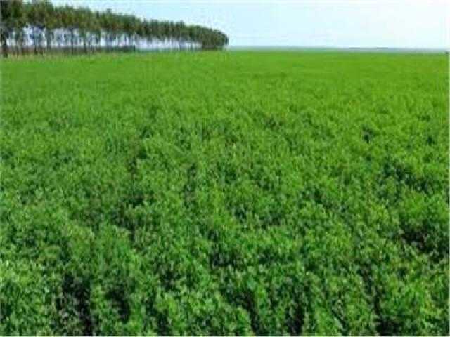 حصاد الزراعة.. الوزير يستقبل السفير الهندي