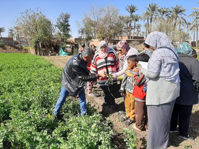 المدارس الحقلية