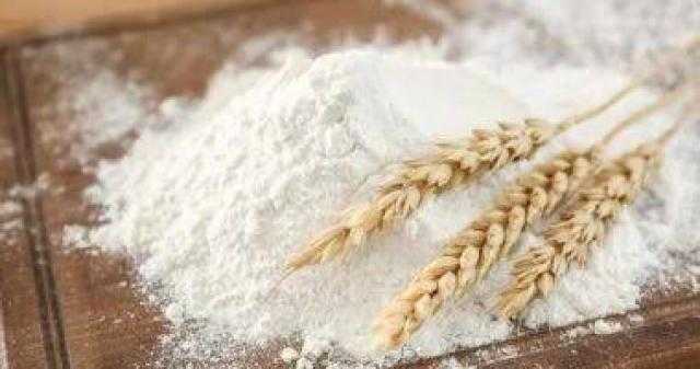 سعر الدقيق اليوم للتاجر