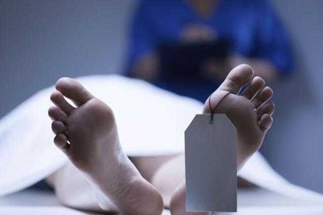 «بسبب بطة».. تفاصيل جريمة قتل بشعة في الجيزة