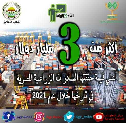 «الزراعة»: 3 مليارات دولار حجم الصادرات الزراعية خلال 2021