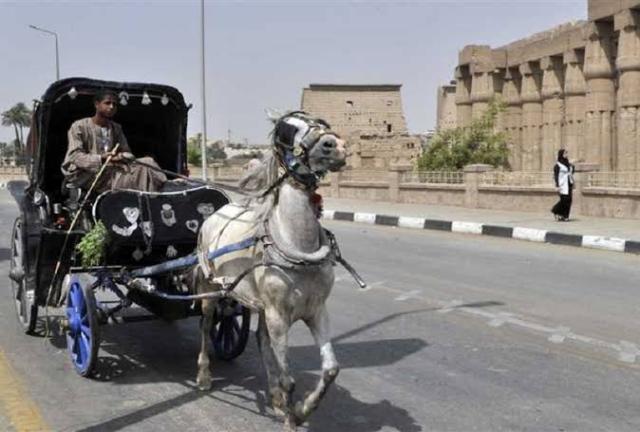 الحناطير
