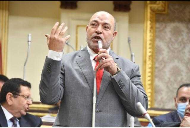 «تضامن النواب»:  «صكوك الأضاحي» أنجح مشروعات التكافل الاجتماعي