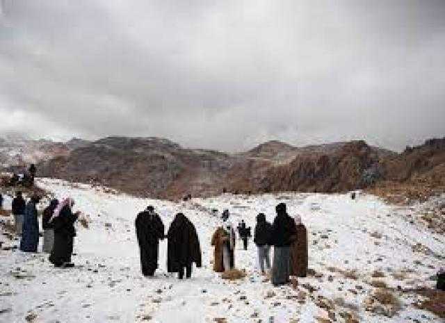 داخل الخيام.. سعوديون يحتفلون بتراكم الثلوج في جبل اللوز «فيديو»