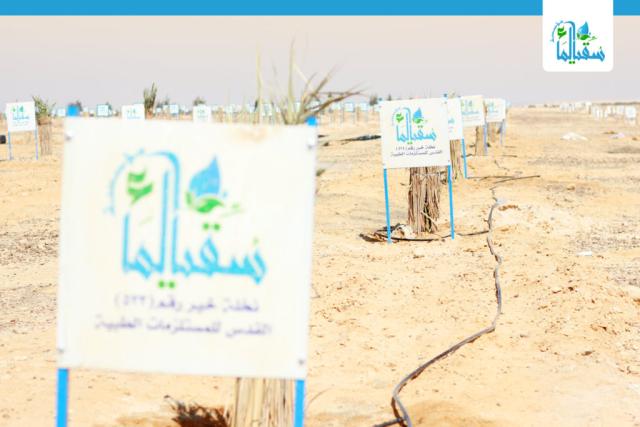 سقيا الماء
