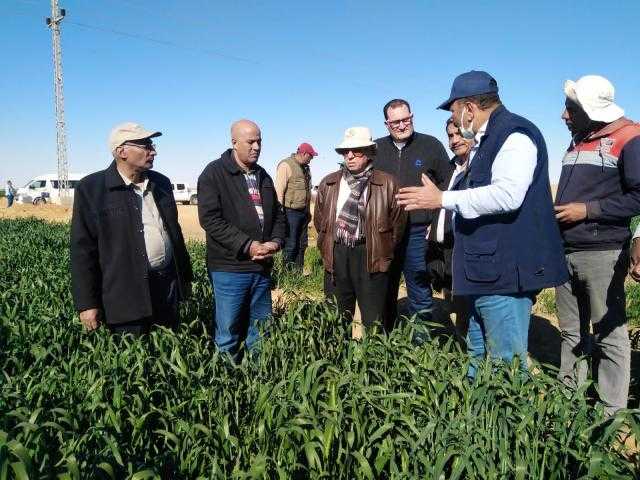 بإجمالي 440 فدان..الزراعة تتابع محطة البحوث والمشروعات الزراعية بتوشكى