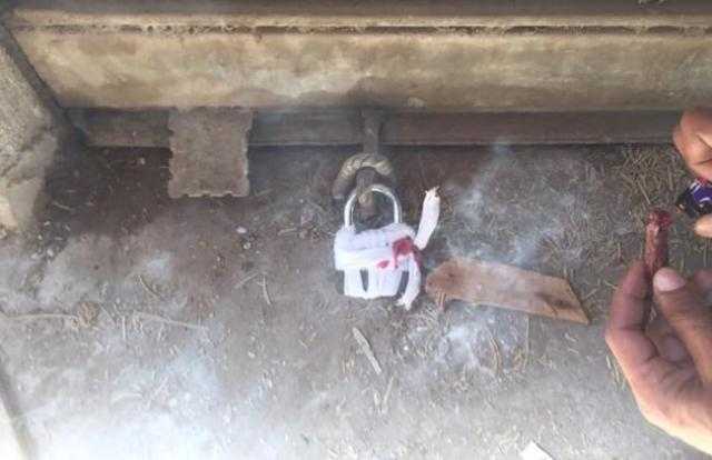 غلق وتشميع 23منشأة مخالفة بالغربية