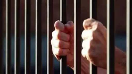 حبس السائق المتسبب في دهس فتاة بالإسماعيلية