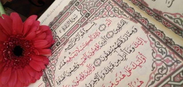 سورة البقرة