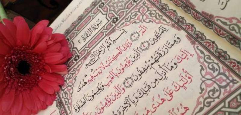 سورة البقرة