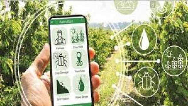 نقيب الفلاحين: «تطبيق هدهد حل سحري لمشكلة الإرشاد الزراعي»