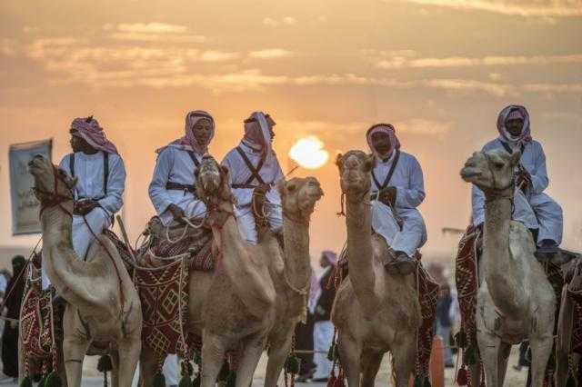 مُفتي الجمهورية: مسابقات الخيل والإبل حرام شرعًا في هذه الحالات