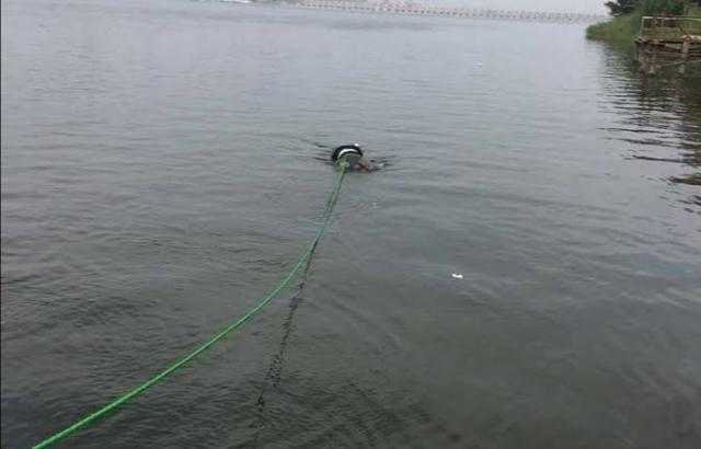 الري: «عكارة النيل ظاهرة طبيعية ولا تؤثر على مياه الشرب» - فيديو