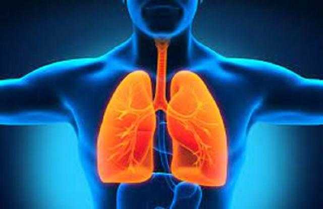 10 نصائح لتجنب الإصابة بالأمراض الصدرية (فيديو)